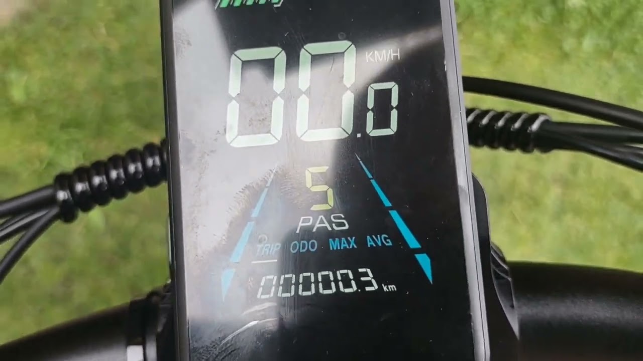Orzel E-fatbike 4,0