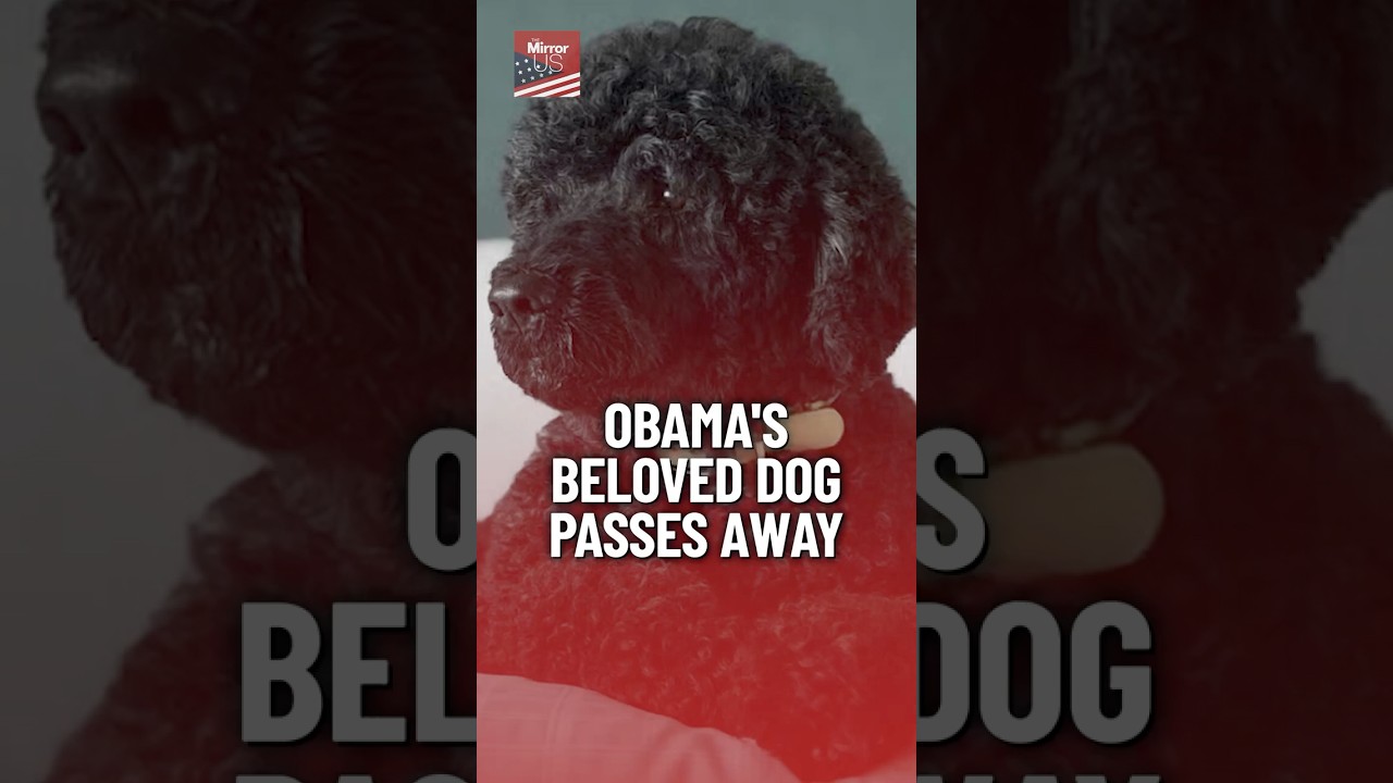 Obama bids farewell to beloved dog Sunny in heart-wrenching post