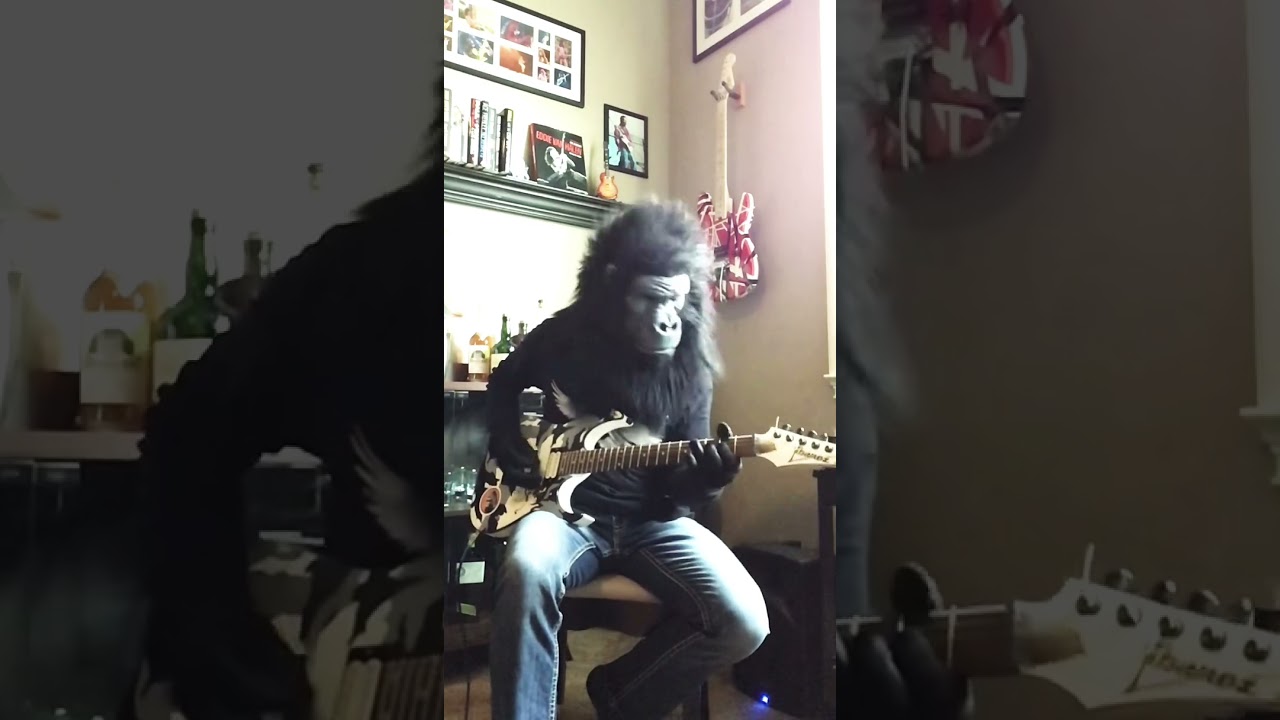 Judas Priest: Hell Bent For Leather       