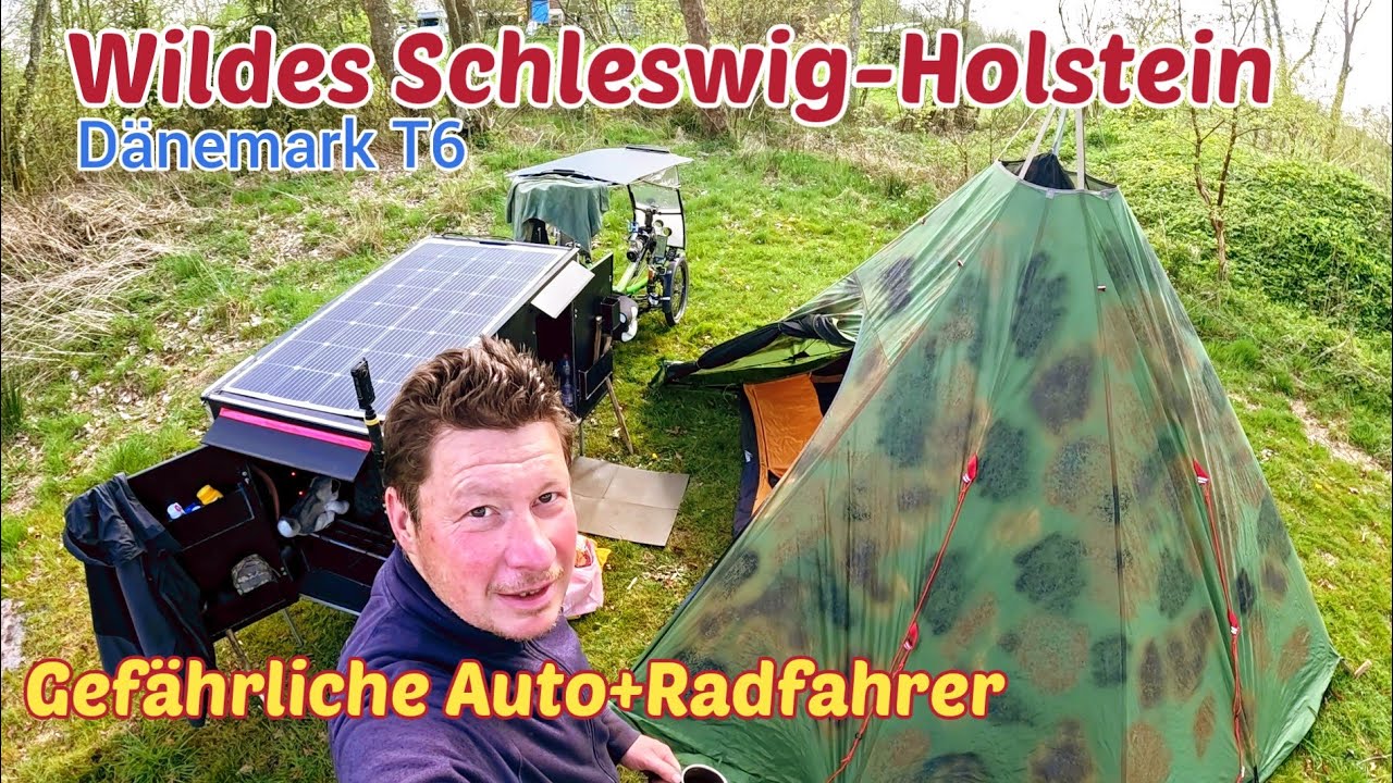 Fast umgefahren worden/Wildes Schleswig-Holstein@MichaNordOst