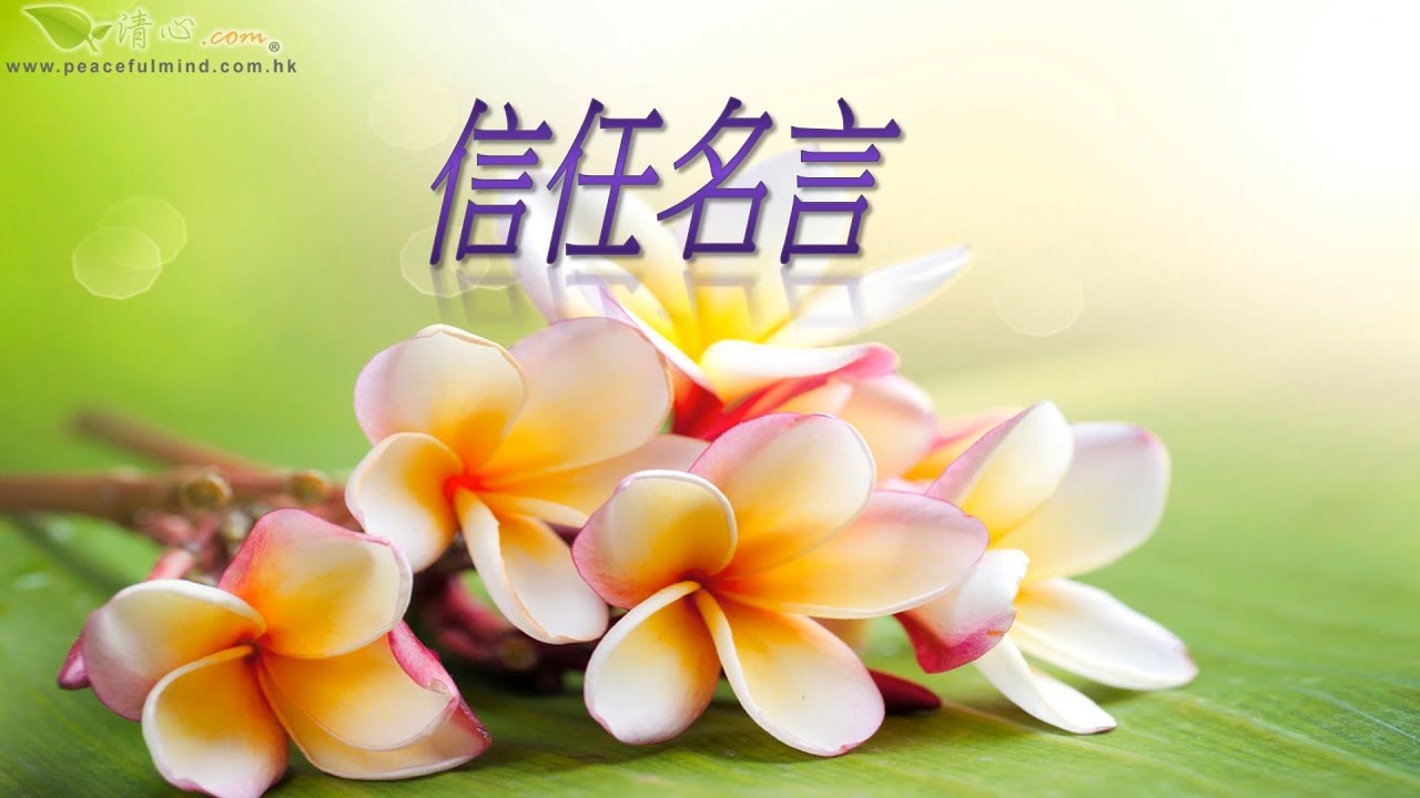 信任名言
