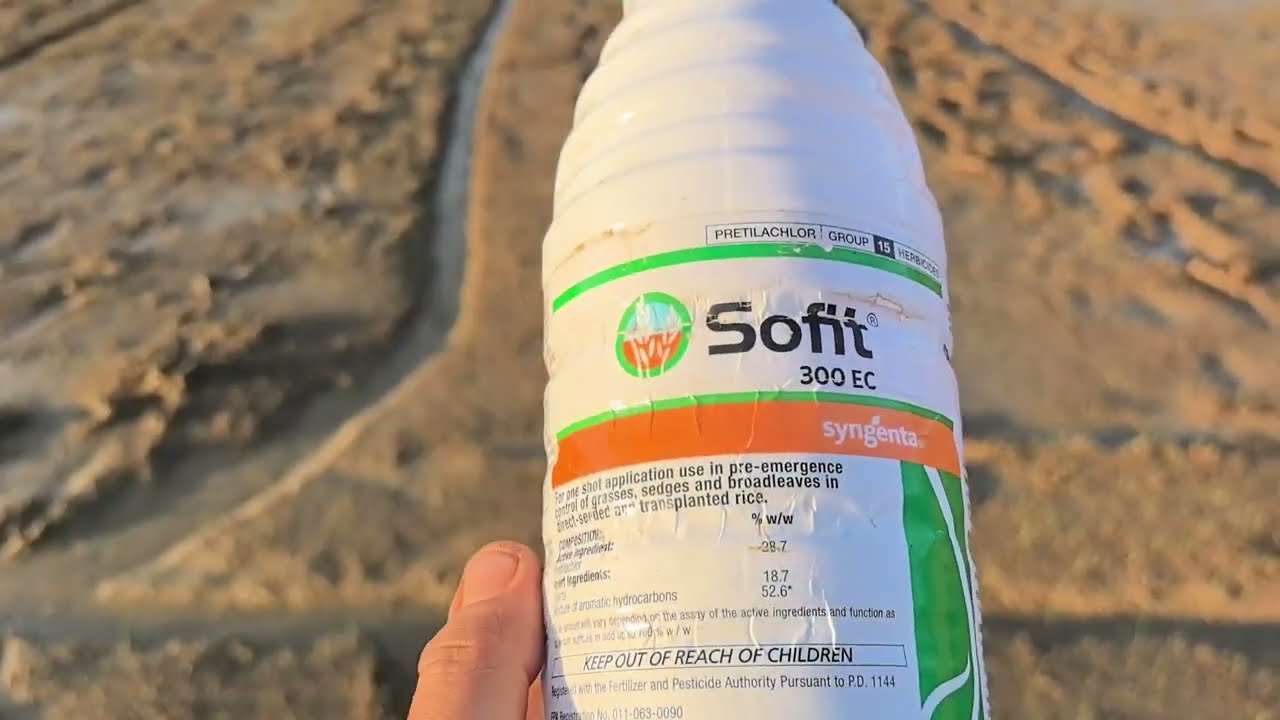 Sofit herbicide sa direct seeded rice