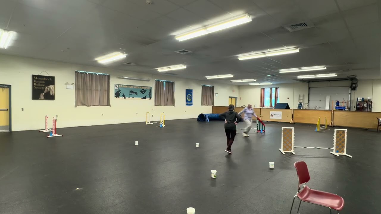 Poppy NAC prep seq 2