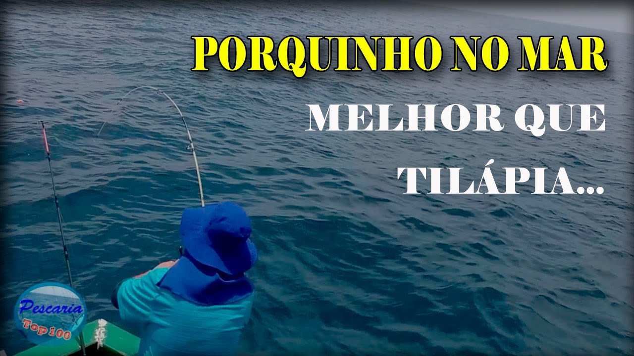 Melhor do que pescar tilápia é pescaria de PORQUINHO no alto MAR