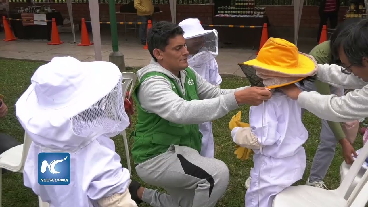 Niños peruanos participan en feria que promueve cuidado de las abejas