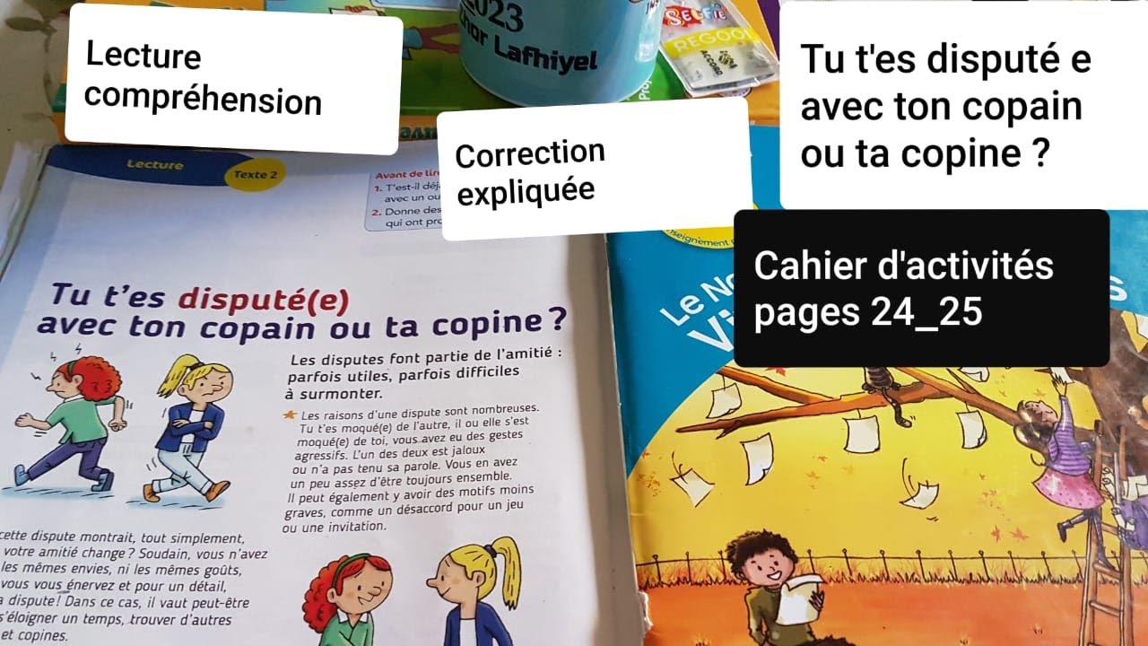 Lecture compréhension.Tu t'es disputé (e) avec ton copain ou ta copine ?le nouveau vivre le français