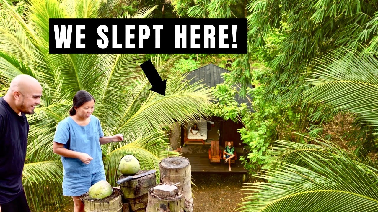 ФиКа Каюты | Расслабляющий отдых в оранжерее в скандинавском стиле в Силанге, Кавите (недалеко от...