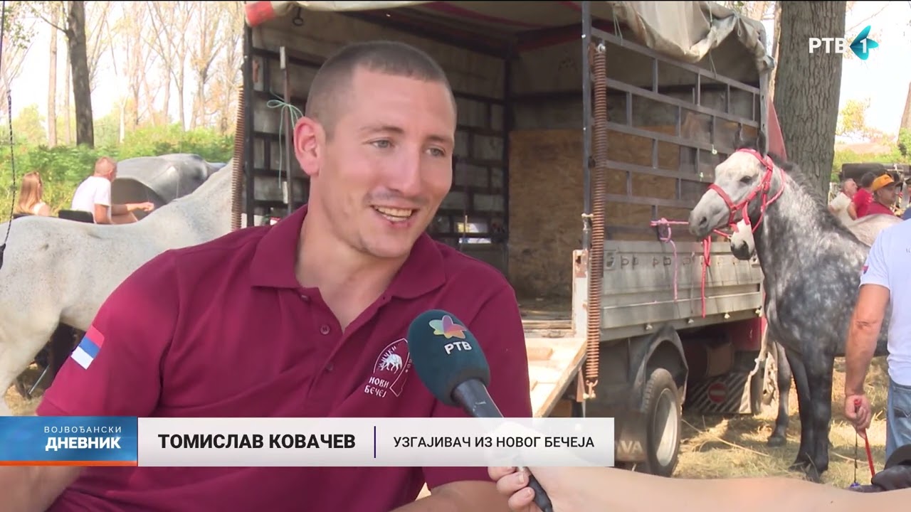 Revija paradnih zaprega – zaštitini znak Velikogospojinskih dana