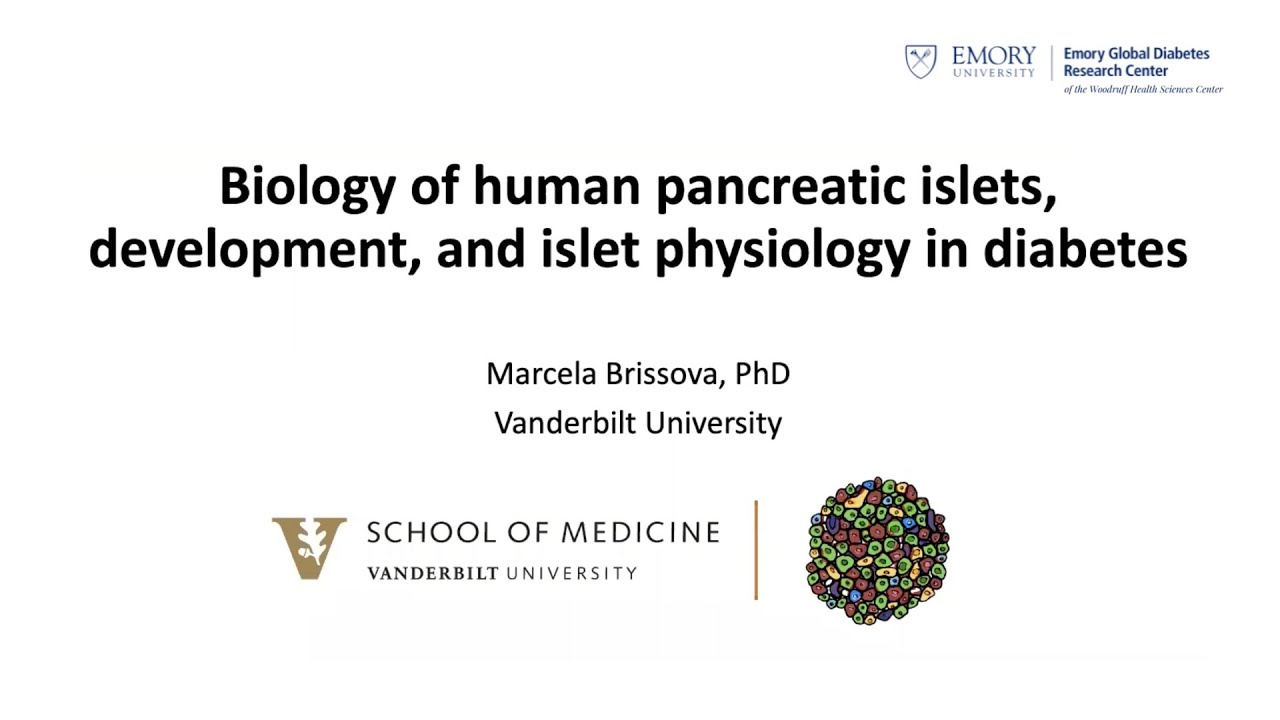 Seminar | Biology of Human Pancreatic Islets, Development, and Islet Physiology in Diabetes