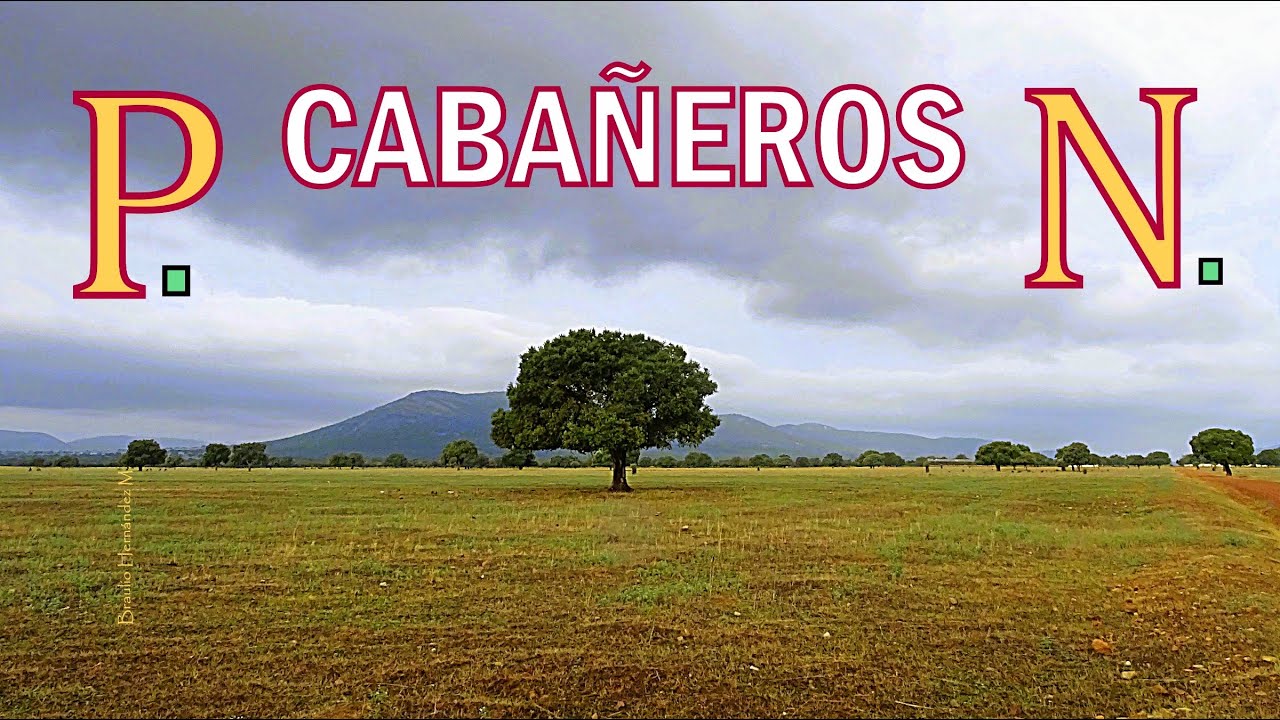 Parque Nacional de Cabañeros, Castilla - la Mancha