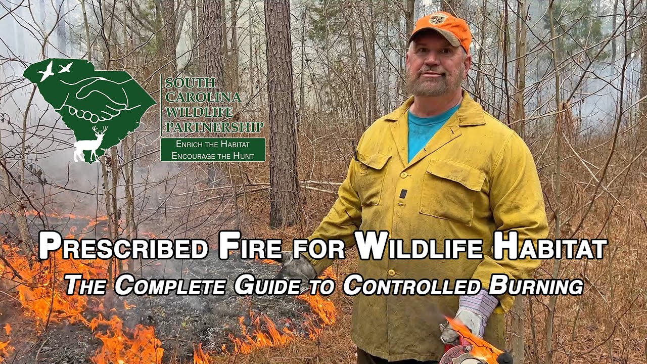 Prescribed Fire for Wildlife Habitat: The Complete Guide to Controlled Burning