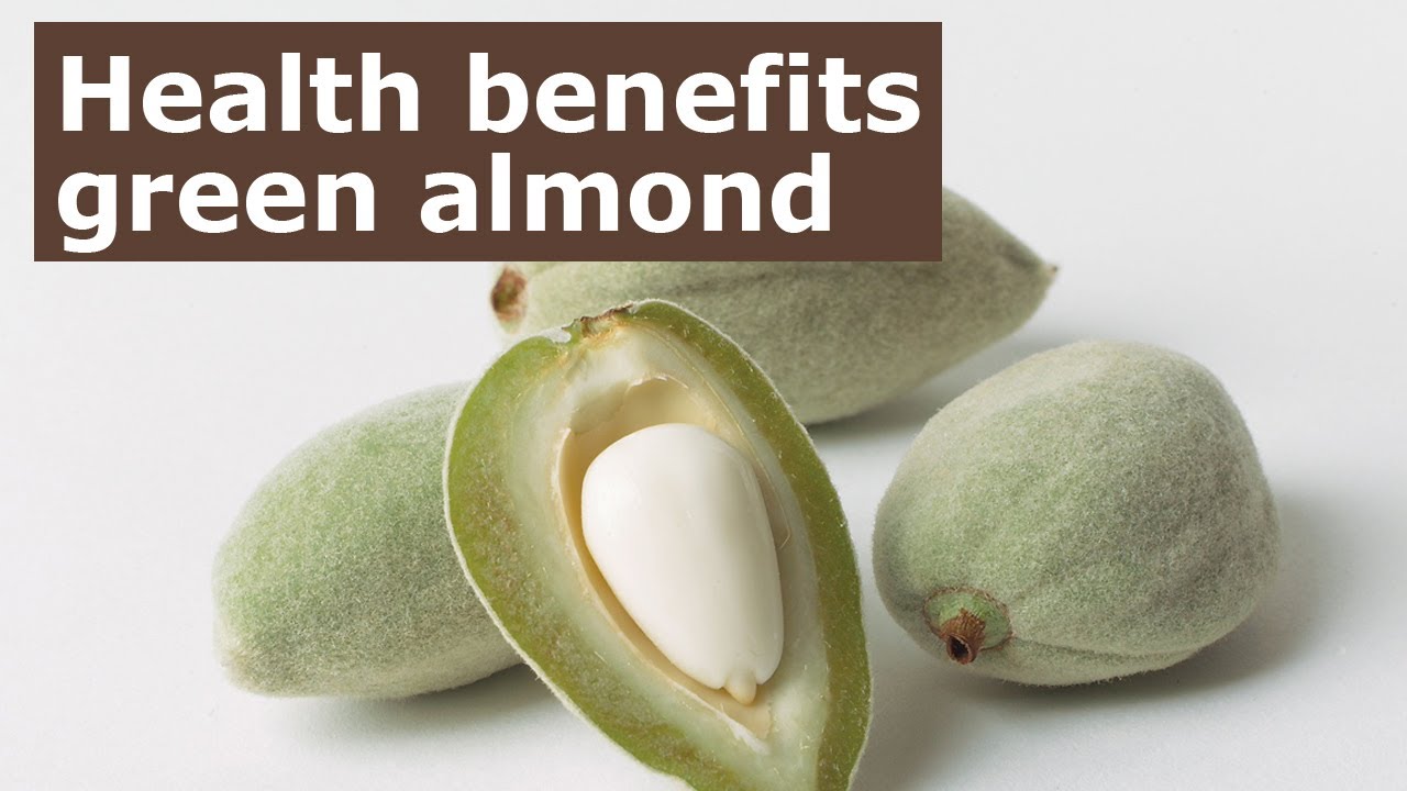 Health Benefits Of Green Almond | How Important Is Green Almond In Our Daily Routine