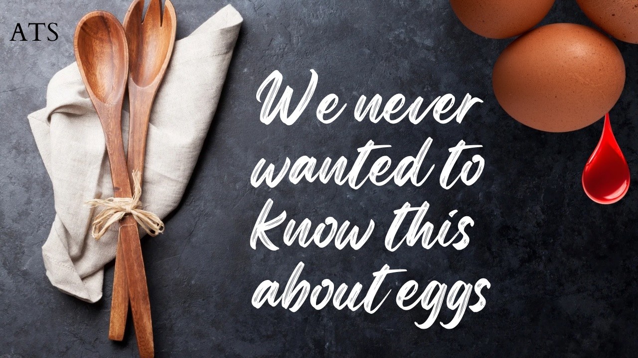 We NEVER wanted to know THIS about eggs | After The Show | 3/12/26
