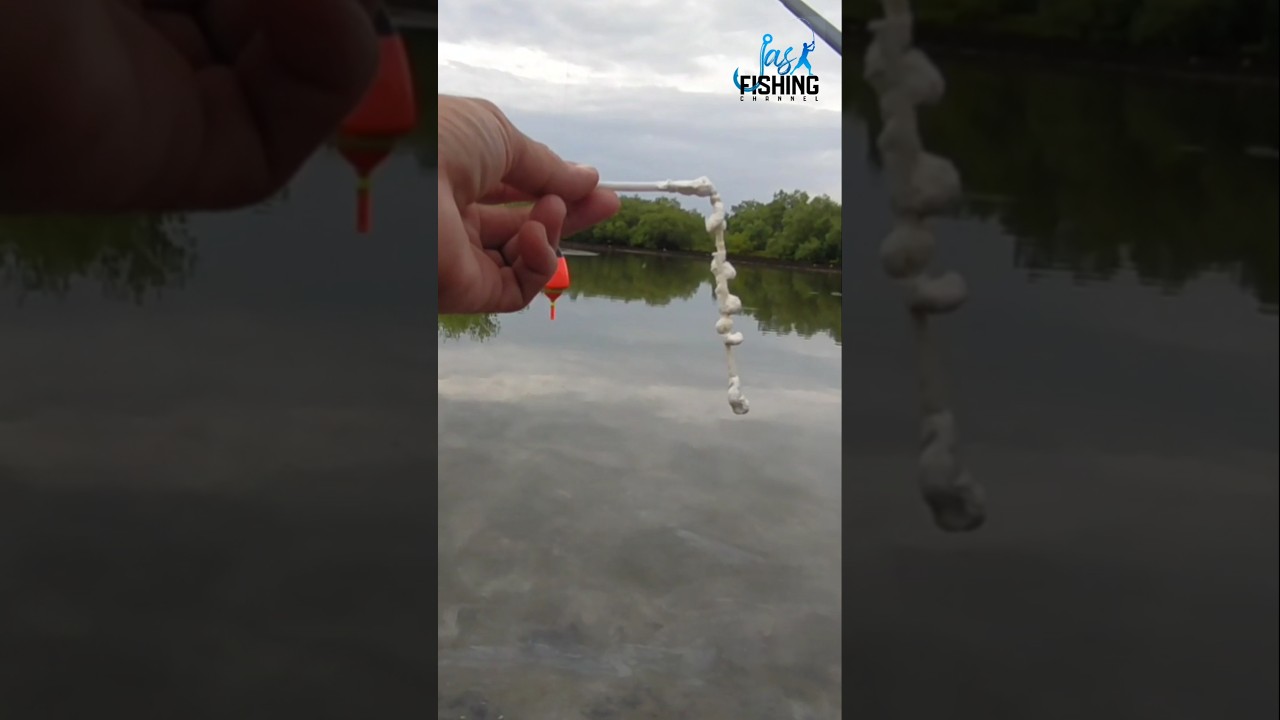 Cara menggunakan umpan tepung kering #shorts #belanak #fyp