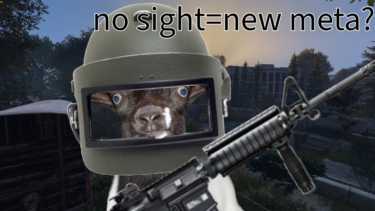 The NEW DayZ Aftermath meta?? aftermath kill comp