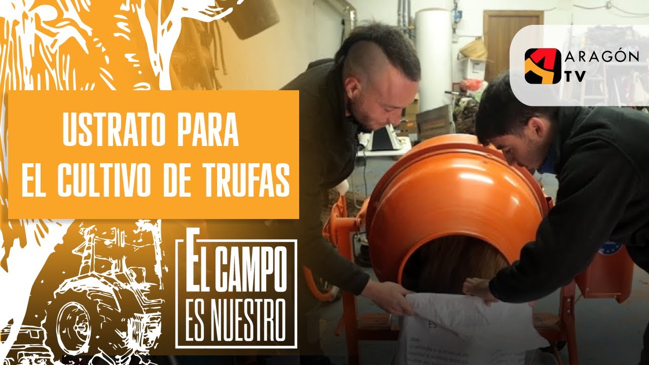 Sustrato artesanal para el cultivo de trufas | Raúl Deoiz