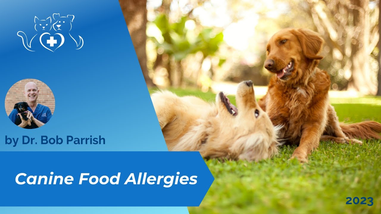 Canine Focused Food Allergy info
