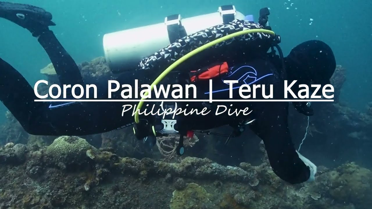Philippine Dive | Coron | Teru Kaze Landscape | Divers POV