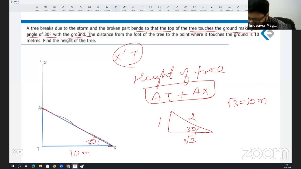 Endeavor Magic's I IPMAT Crash Course I Day 37 I Height and Distance