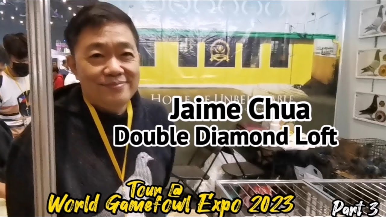 World Gamefowl Expo 2023, Jaime Chua, Double Diamond Loft, Tour, Part3