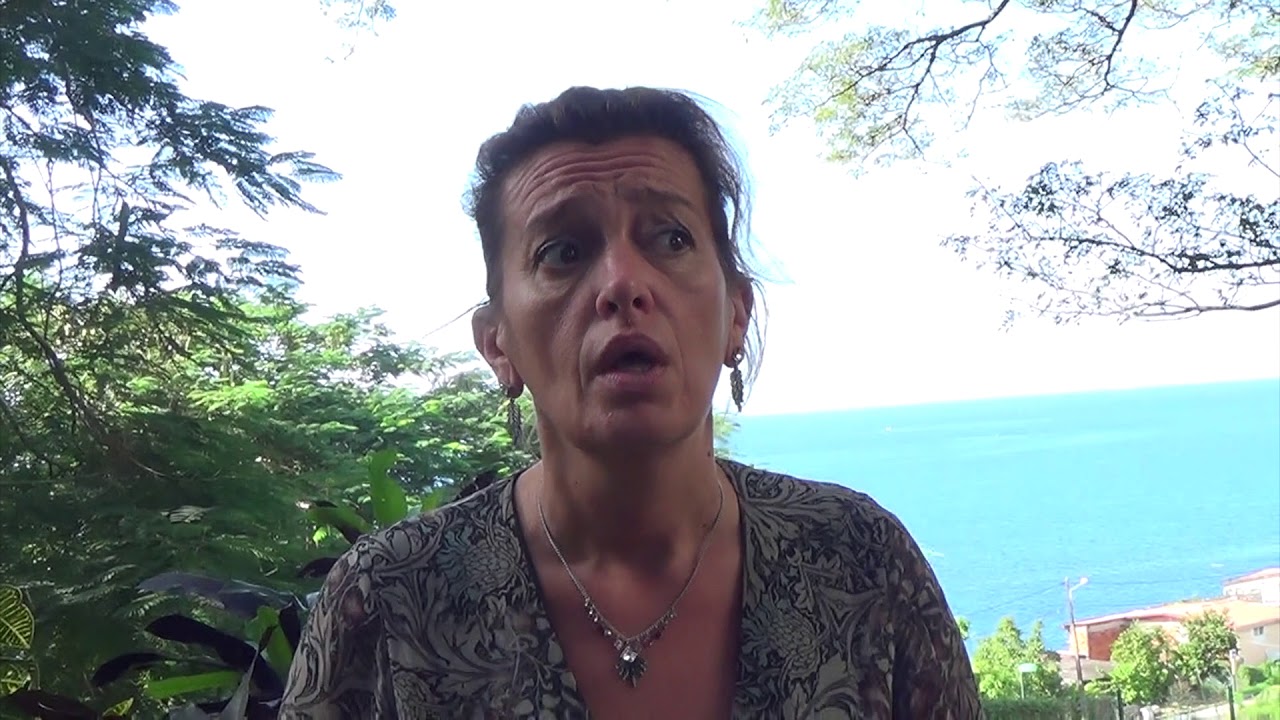 la problématique du climat scolaire  Cécile LALOUX