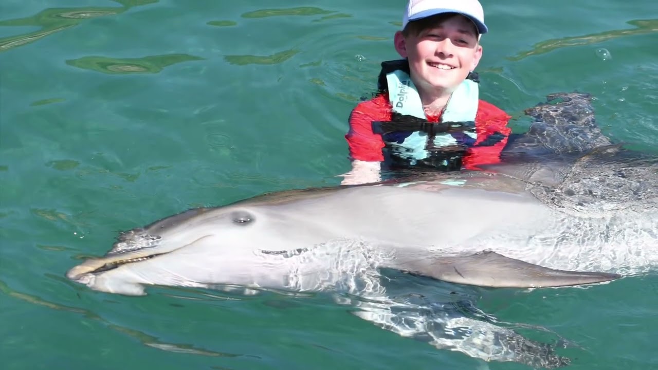 St Kitts and a review of Dolphin Discovery