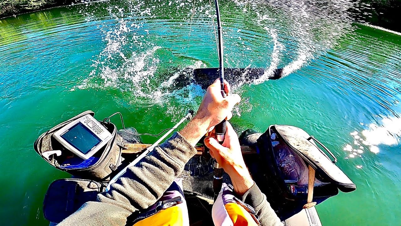 Fishing for big fish in shallow water!/ Exciting fish fights!/ Attracting catfish with clonk