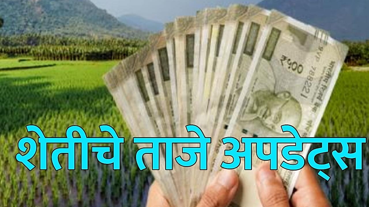 08 फेब्रुवारी 2026 शेतकऱ्यांसाठी ठळक बातम्या | कर्जमाफी |कापूस भावPM योजना, pik vima| NEWS HEADLINES