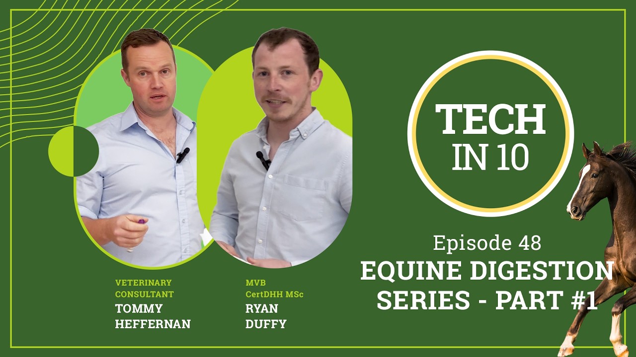 Tech in 10 - Episode 48: The Horse Gut Explained: Hindgut Health & the Microbiome