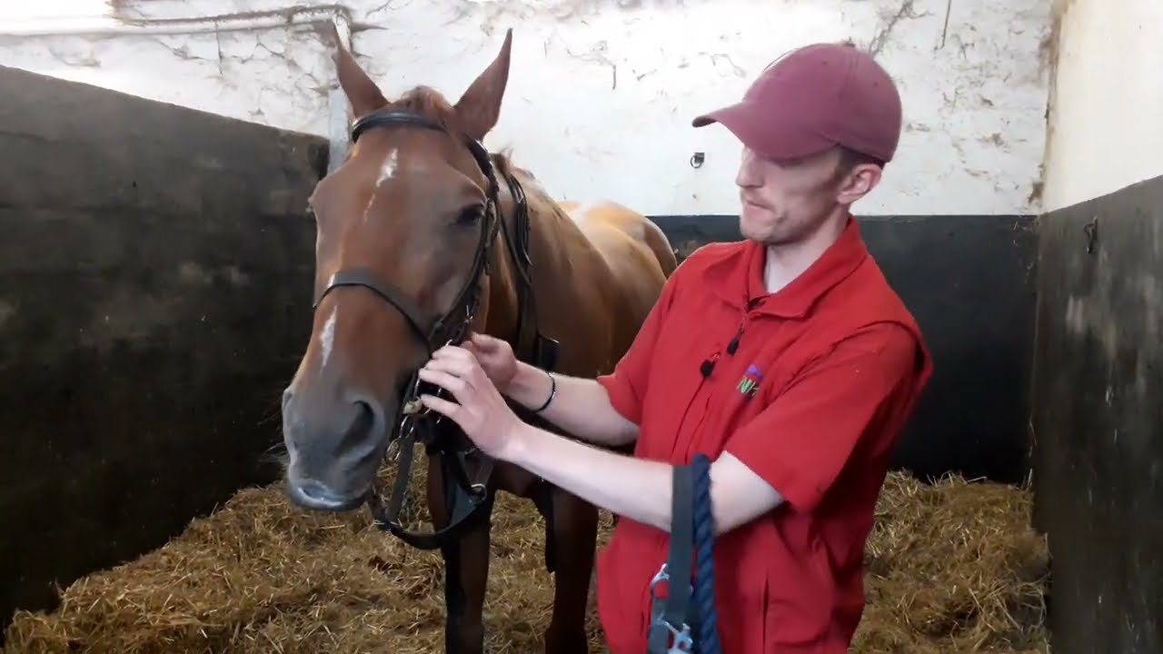 Matthew Clark on How to Tack Up a Racehorse
