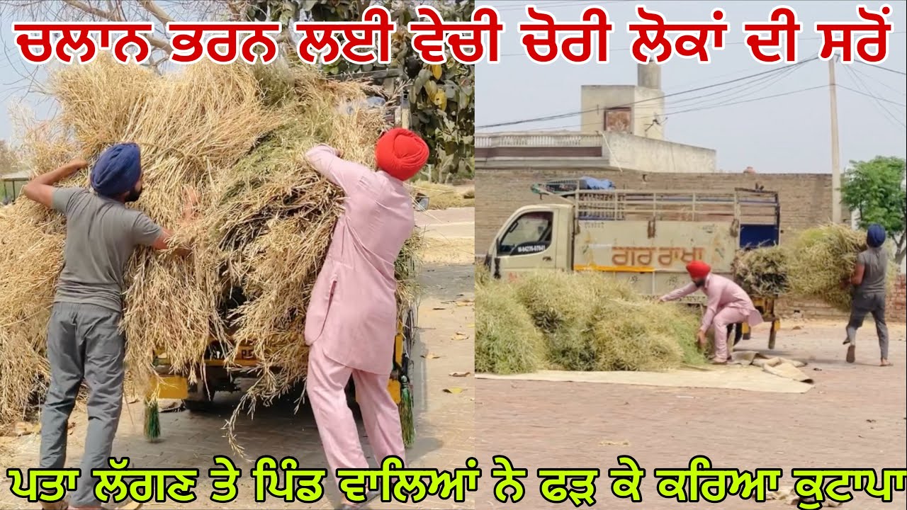 ਚੋਰੀ ਵੇਚਤੀ ਪਿੰਡ ਦੀ ਮੰਡੀ ਚੋਂ ਸਰੋਂ ॥ ਮੁੰਡਿਆਂ ਨੇ ਰਲ ਕੇ ਕੀਤੀ ਸਾਜਿਸ਼ ॥ ਪਿੰਡ ਵਾਲਿਆਂ ਨੇ ਫੜ ਕੇ ਵੇਖੋ ਕੀ ਕੀਤਾ