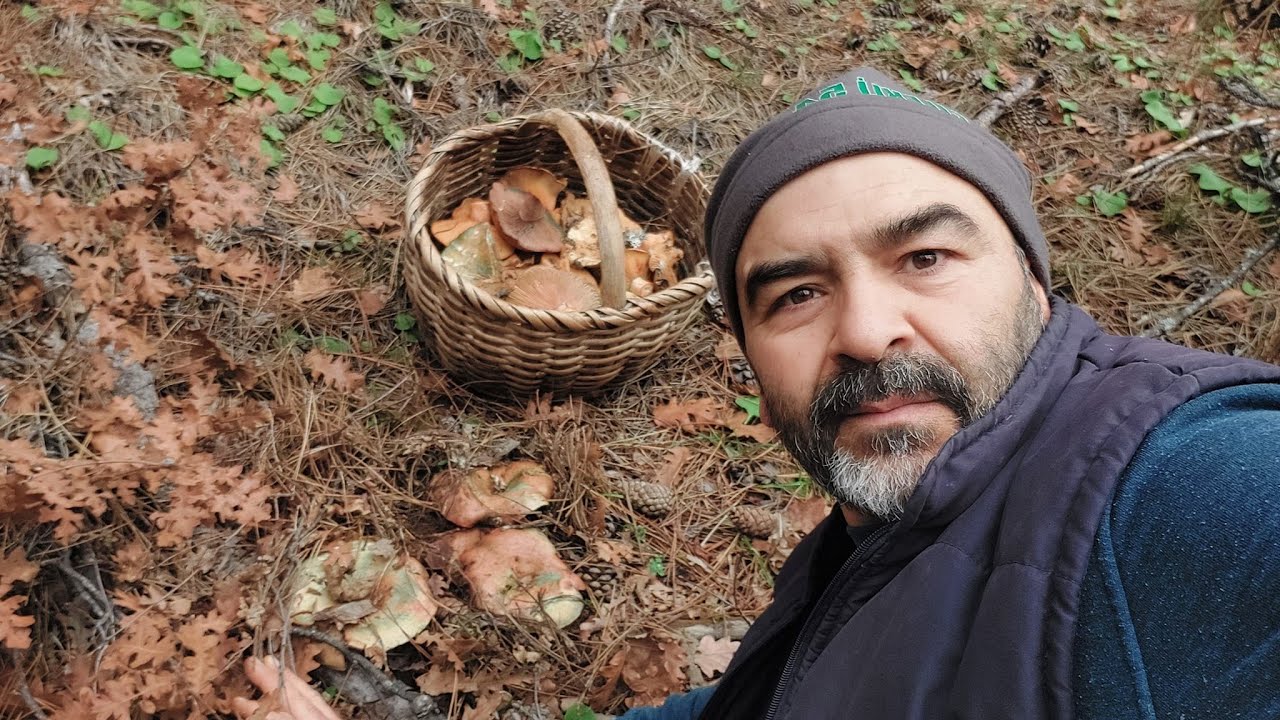 21 Aralık 2025 itibarı ile Sezonun Son Mantarları