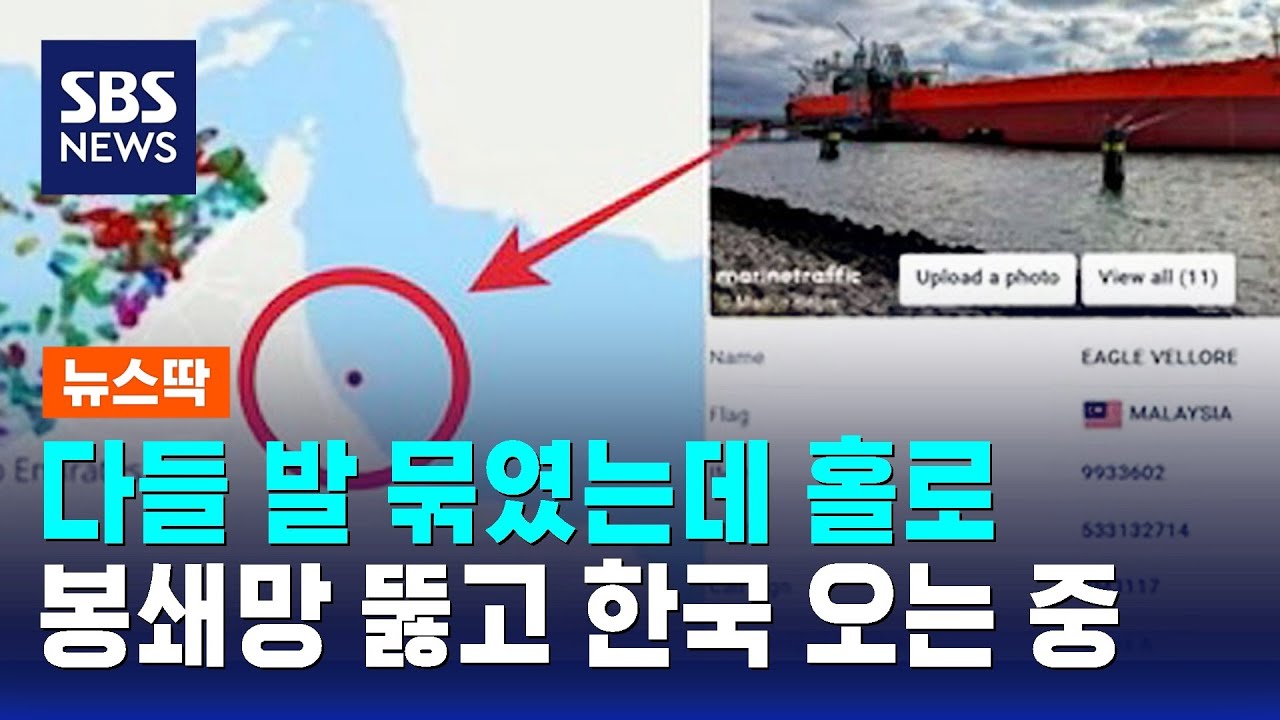 다들 발 묶였는데 홀로…봉쇄망 뚫고 한국 오는 중 / SBS / 뉴스딱