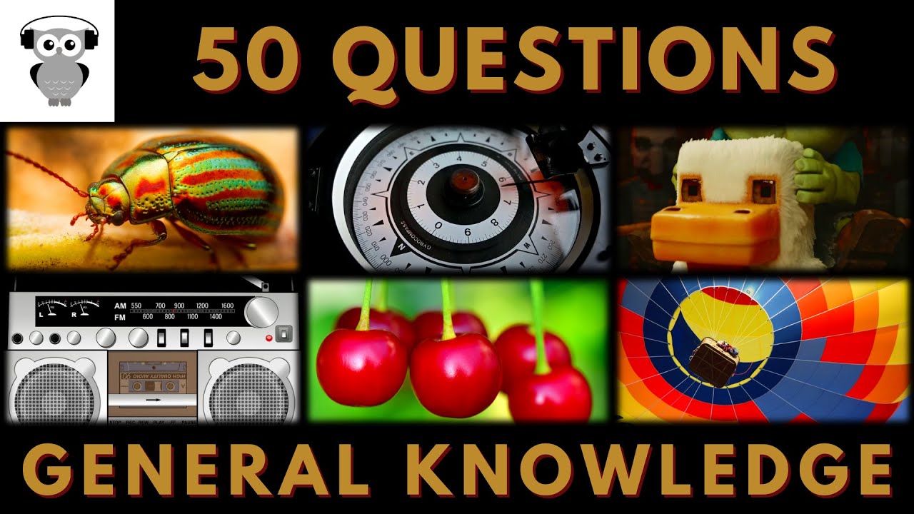 General Knowledge Quiz Trivia #236 | Beetle, Compass, Chicken Jockey, Broadcasting, Cherry