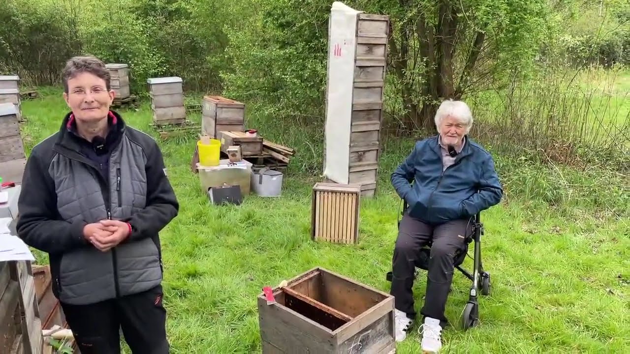 Live von Pias Bienenstand - 18.04.2025