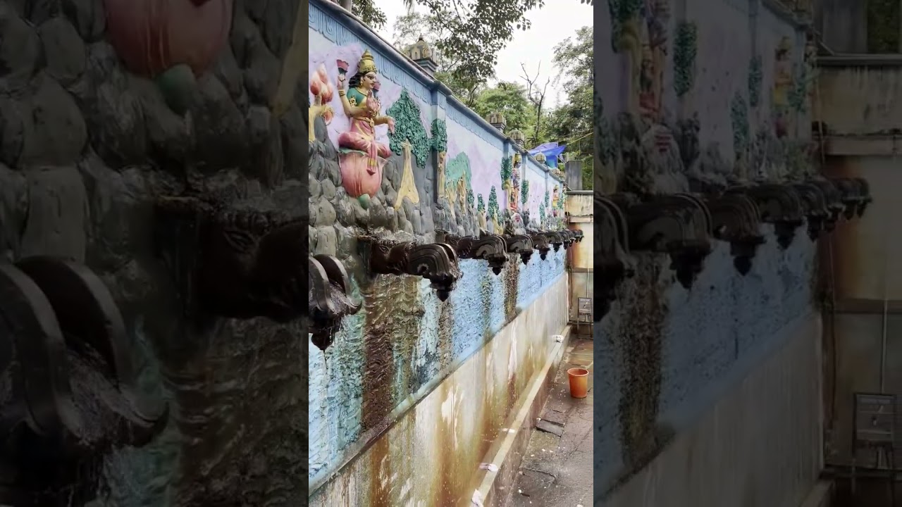 Tirumalavaasa Sri Venkatesha Song l Lalitha Saagari Song l Papavinasanam Theertham | Tirupati #vlog