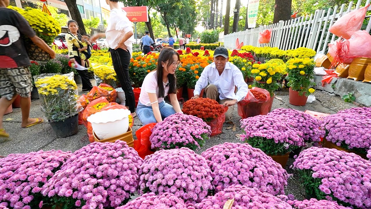 Độc lạ cúc mâm xôi ngoại ghép 3 năm 7 tháng ra hoa, chưng 3 tháng mới tàn đẹp lung linh đầy màu sắc