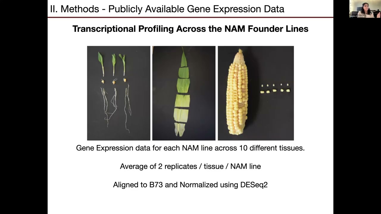 Manisha Munasinghe: Structural Variation has a limited role in influencing differential expression