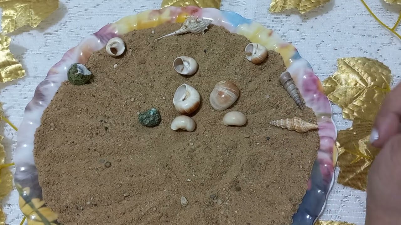 القراءة بالودع والرمال لبرج الدلو بتاريخ ٢٠٢٤/٢/٢٠