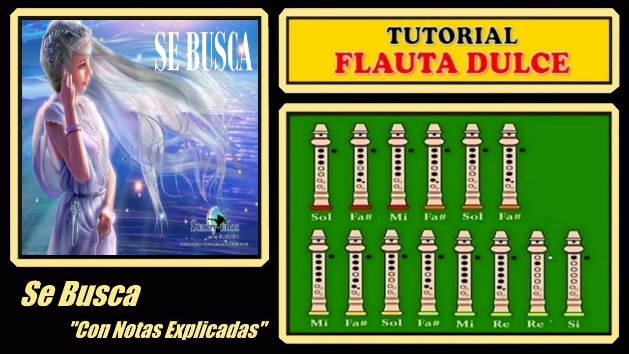 Se Busca en Flauta Dulce 