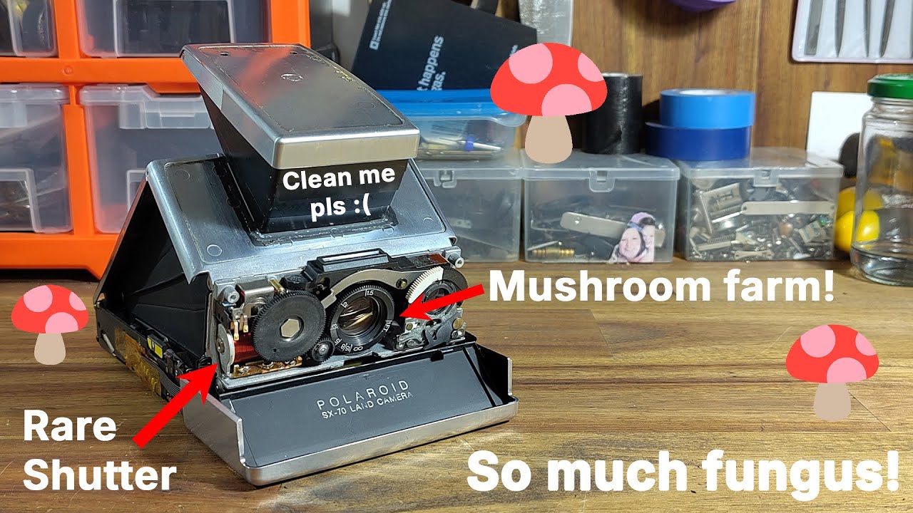 Cleaning fungus from an SX-70 lens! And 600 modding a Fairchild 
