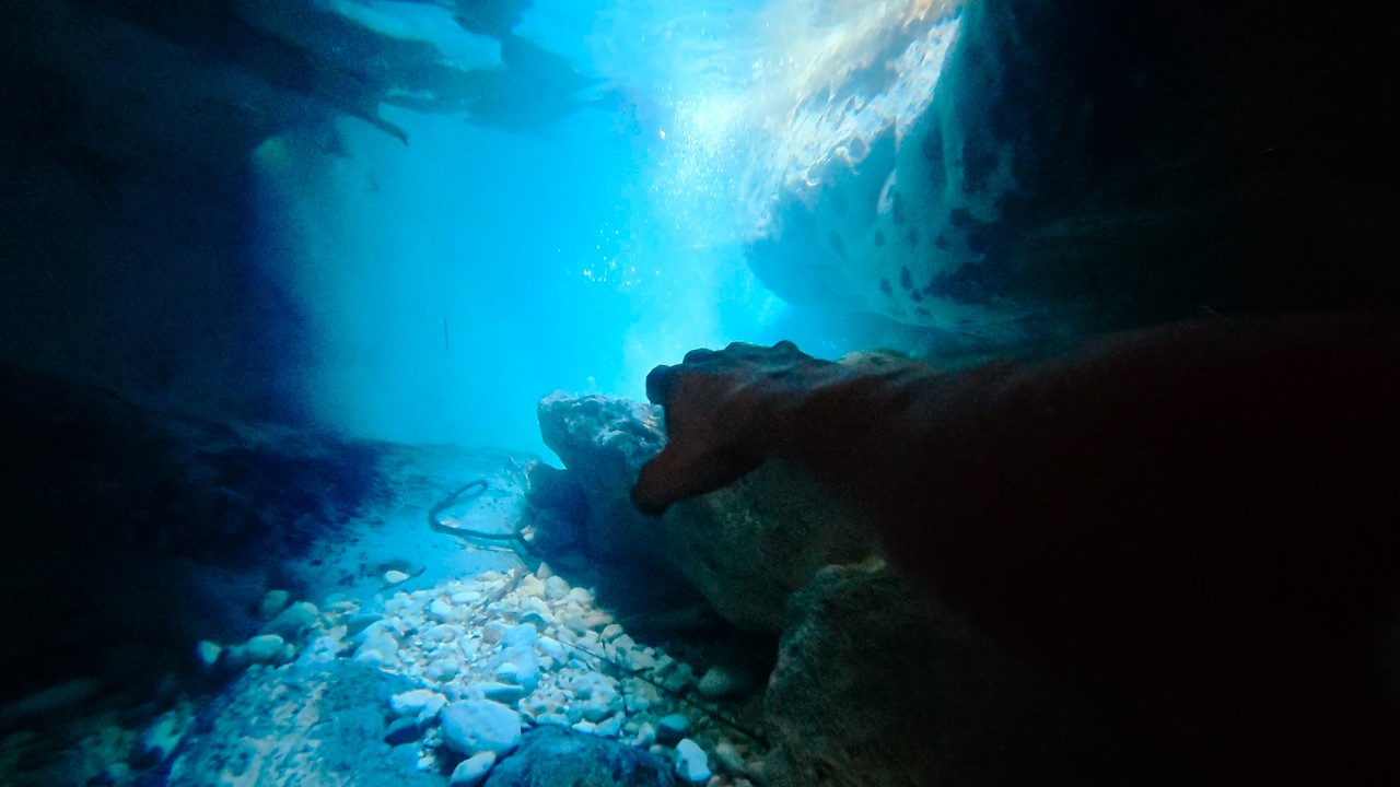 Reach Falls, Jamaica 🇯🇲 Hidden Cliff Jumps & Cave Dives