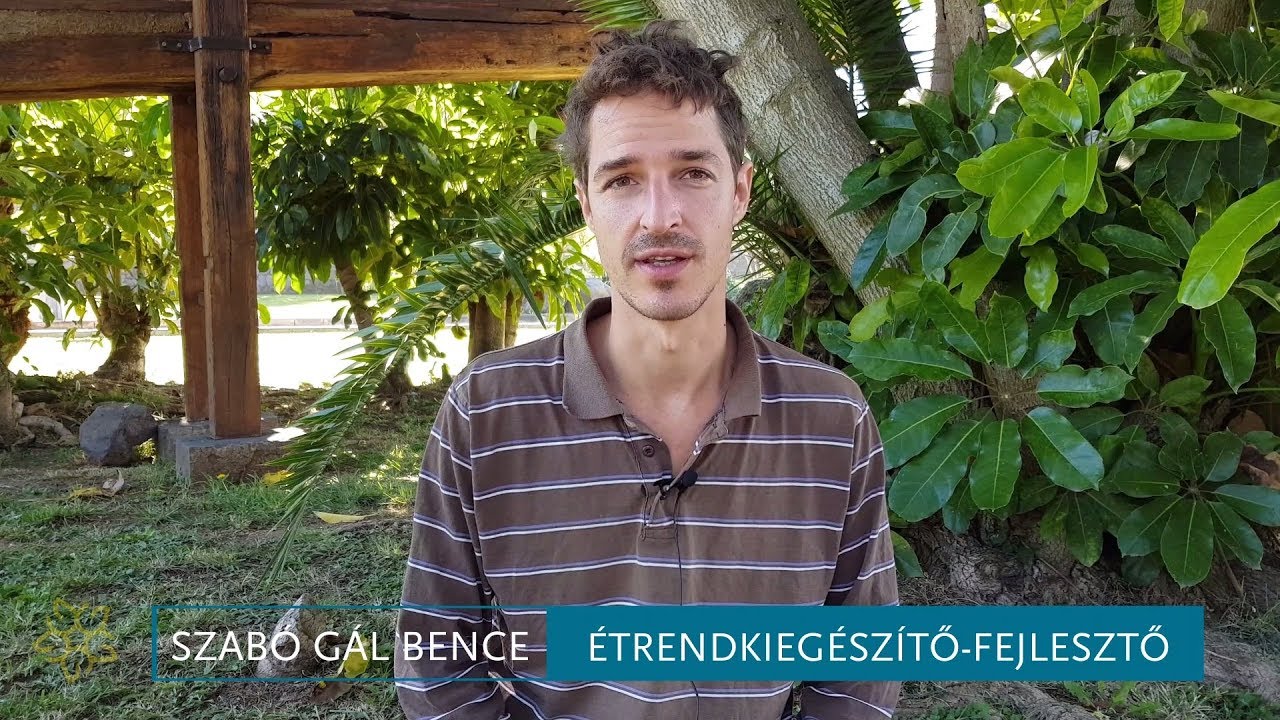Mi a k&uuml;l&ouml;nbs&eacute;g a probiotikum &eacute;s a prebiotikum k&ouml;z&ouml;tt?