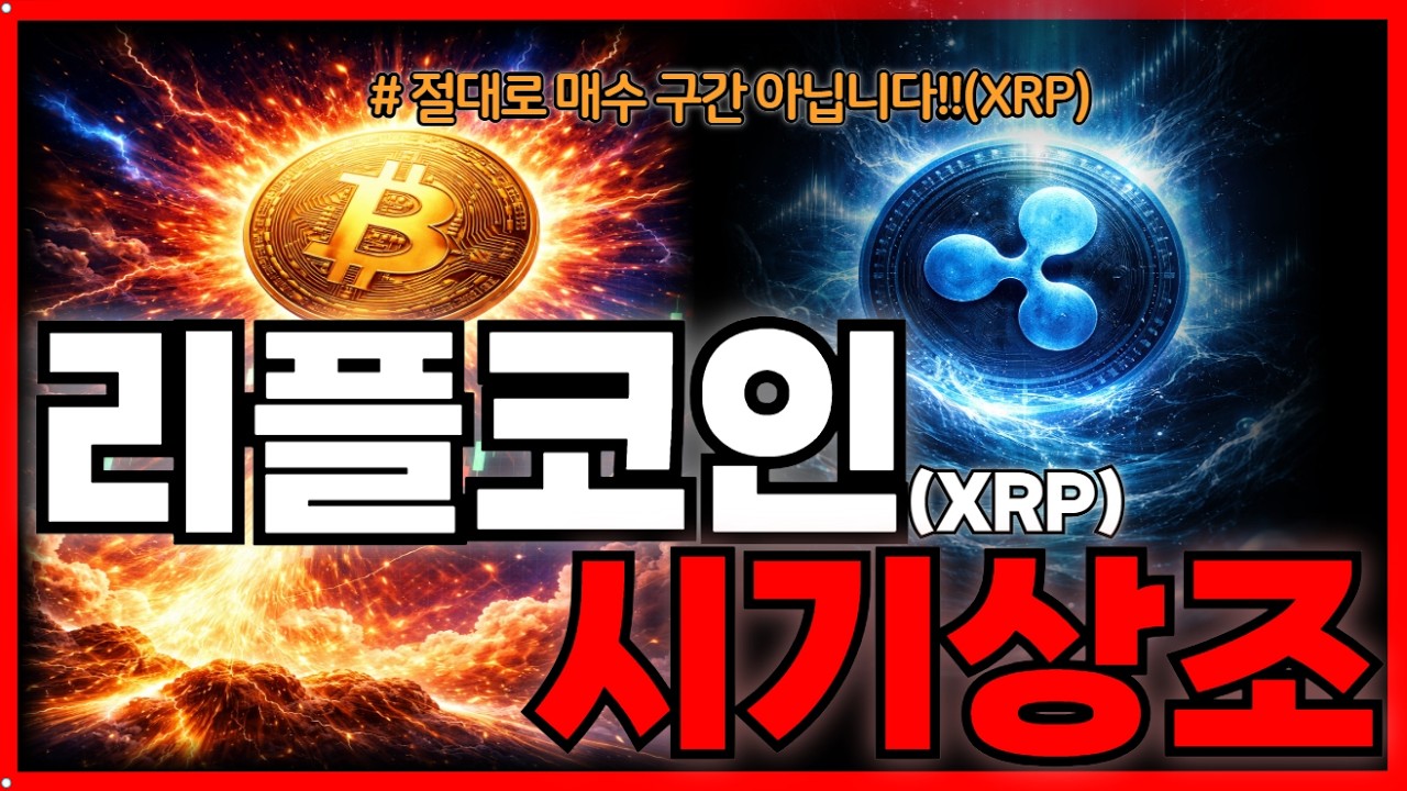 리플코인 (XRP)🔥