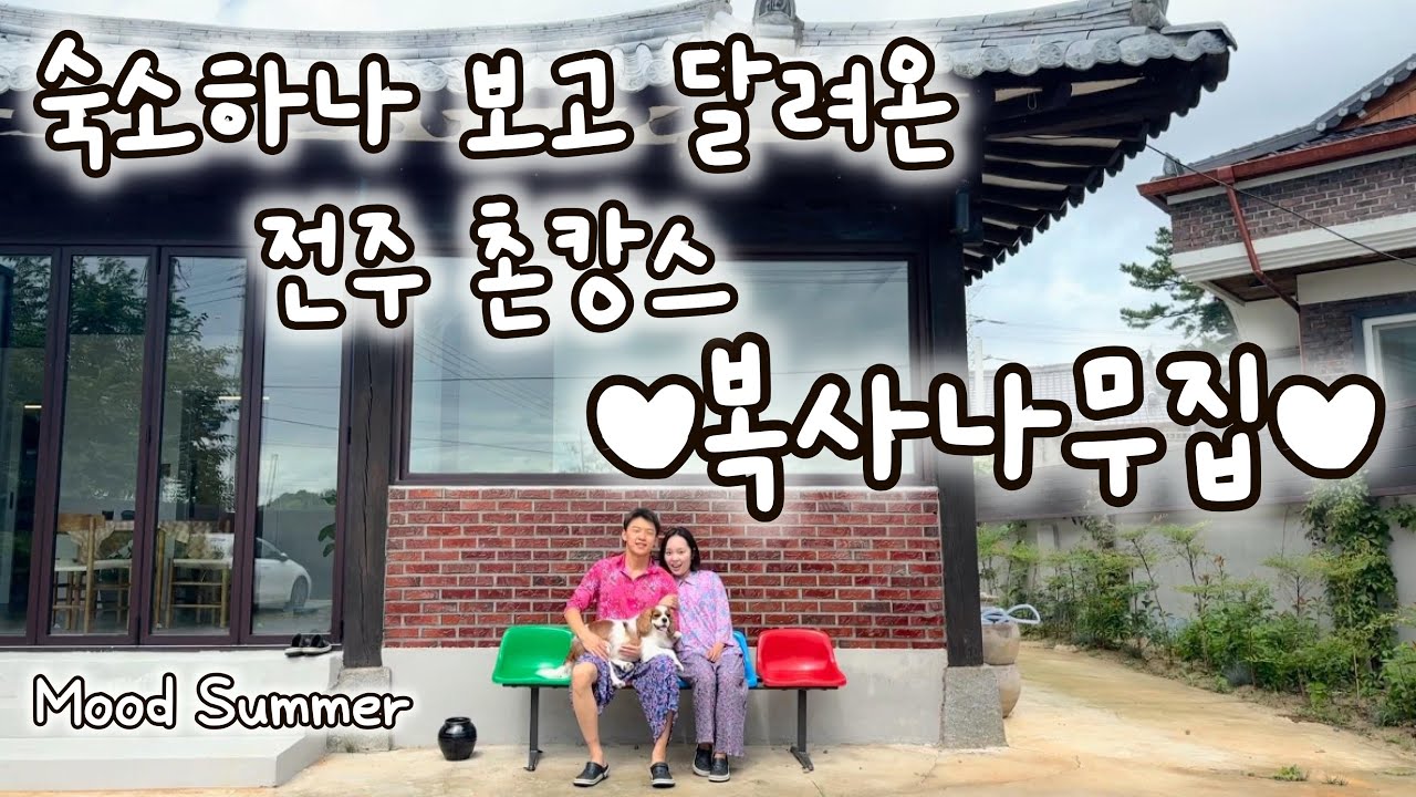 전주 애견 동반 숙소 복사나무집 촌캉스 후기💛