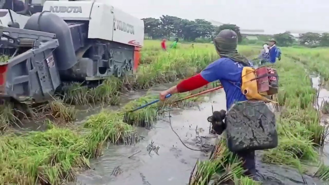 EP,22 Electric fishing tinesting ko  yung aking  aparato malakas parin#buhaybukid #buhaymangingisda