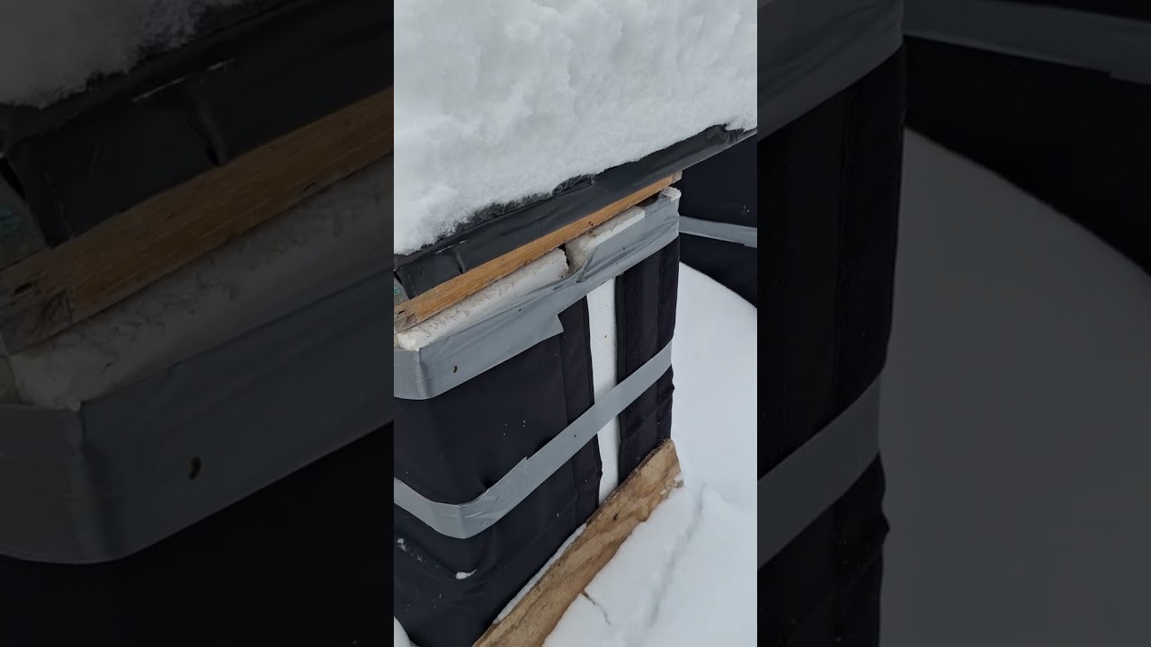 Beekeeping 1/27/2026 checking the girls in the freezing temps with my thermal camera 