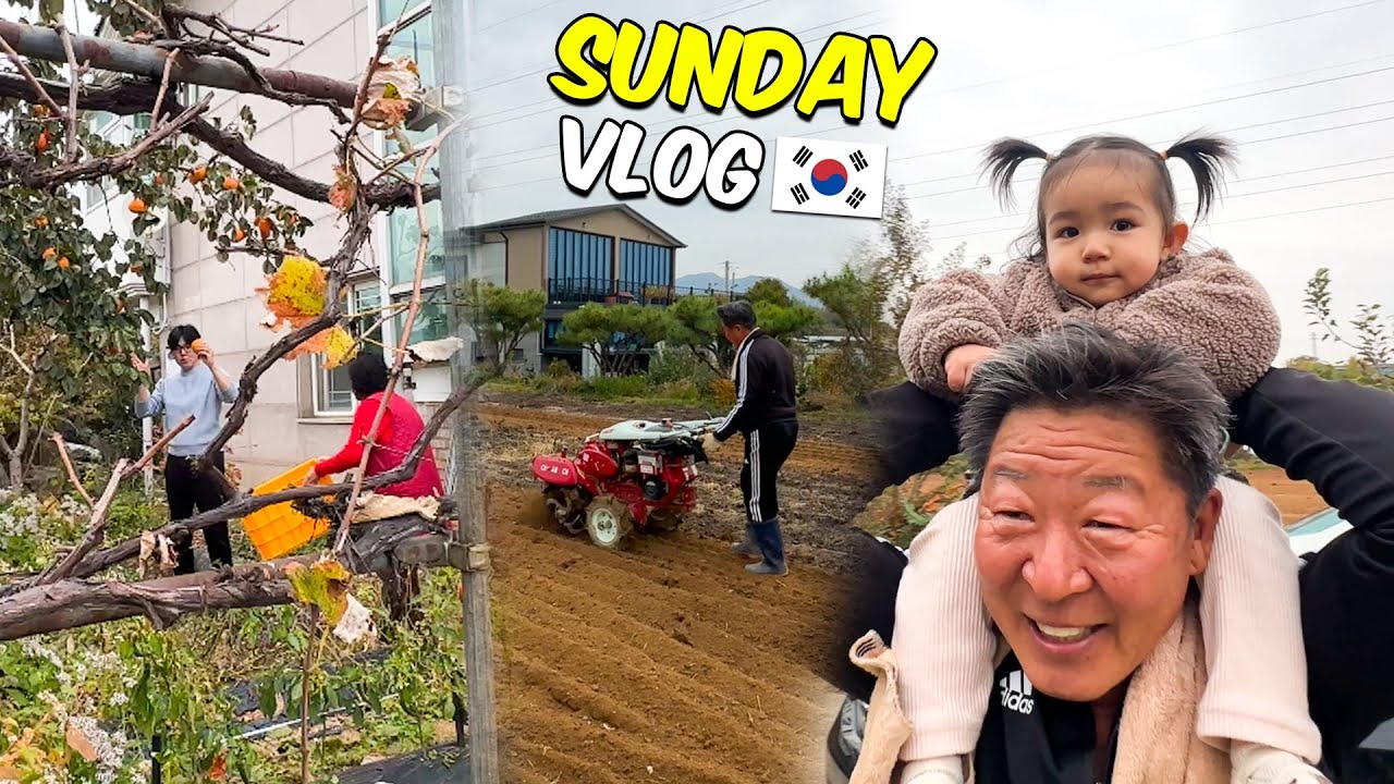 Воскресенье с корейскими бабушкой и дедушкой 🇵🇰🤍🇰🇷
