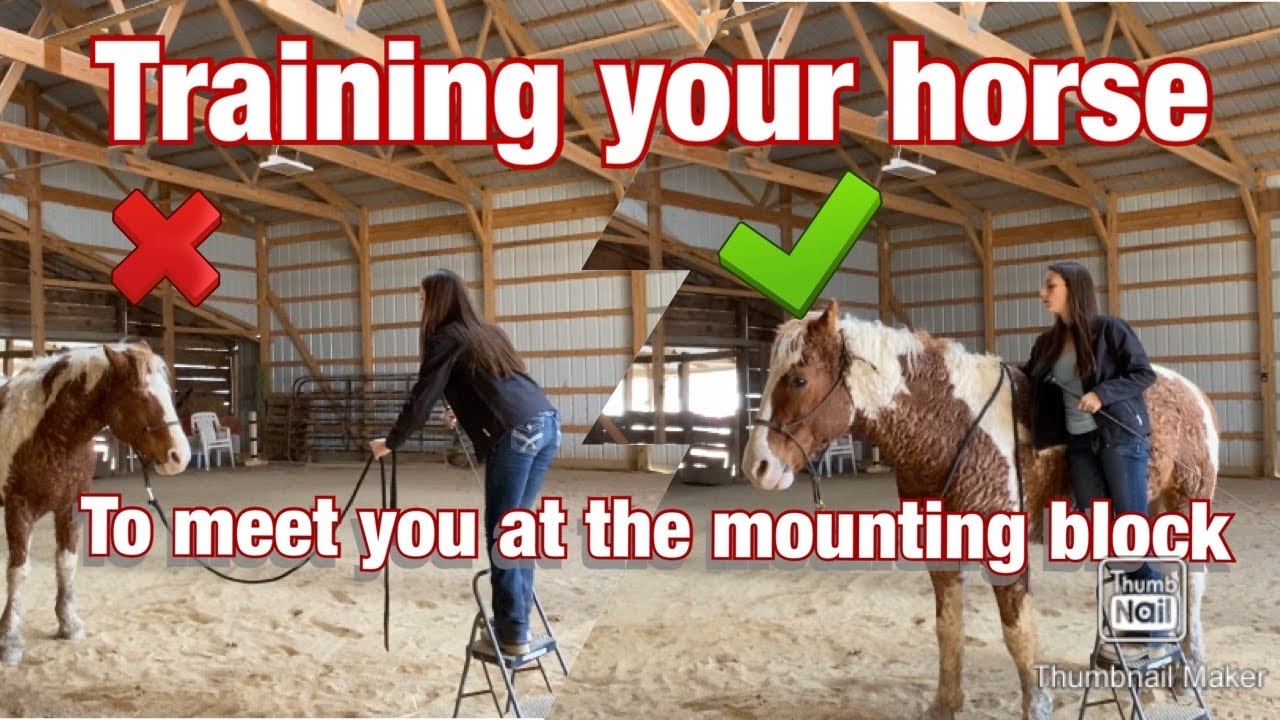 SIDEPASS TO MOUNTING BLOCK/ HOW TO TRAIN YOUR HORSE