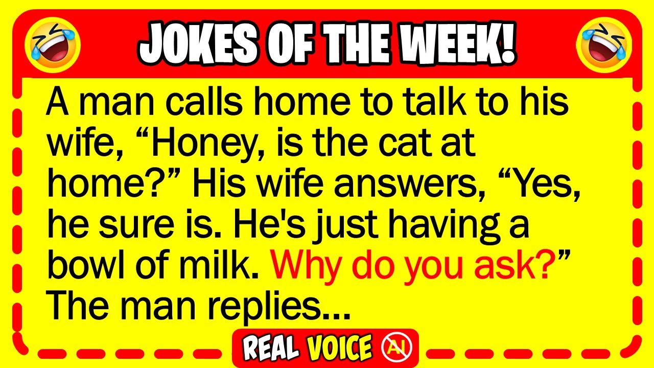 🤣 BEST JOKES OF THE WEEK! - Man thinks he’s clever - cat proves him wrong... | Funny Dad Jokes